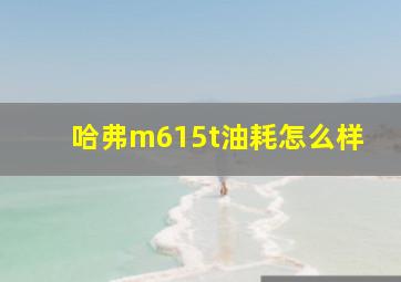 哈弗m615t油耗怎么样