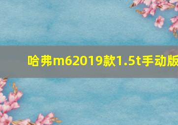 哈弗m62019款1.5t手动版