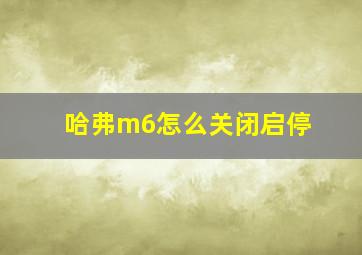 哈弗m6怎么关闭启停