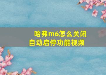 哈弗m6怎么关闭自动启停功能视频