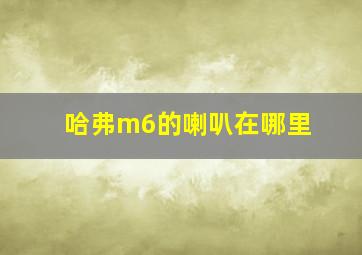 哈弗m6的喇叭在哪里