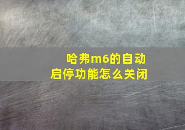 哈弗m6的自动启停功能怎么关闭