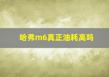 哈弗m6真正油耗高吗