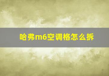 哈弗m6空调格怎么拆