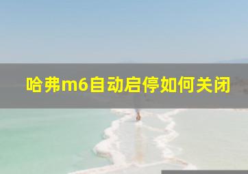 哈弗m6自动启停如何关闭