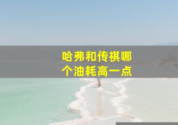 哈弗和传祺哪个油耗高一点