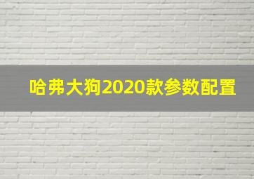 哈弗大狗2020款参数配置