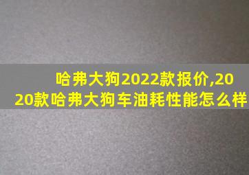 哈弗大狗2022款报价,2020款哈弗大狗车油耗性能怎么样