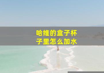 哈维的盒子杯子里怎么加水