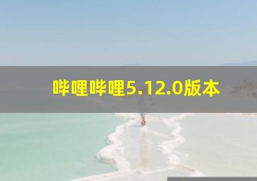 哔哩哔哩5.12.0版本