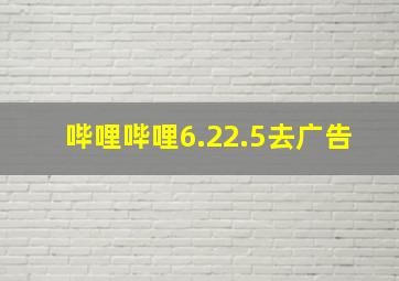 哔哩哔哩6.22.5去广告