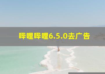 哔哩哔哩6.5.0去广告