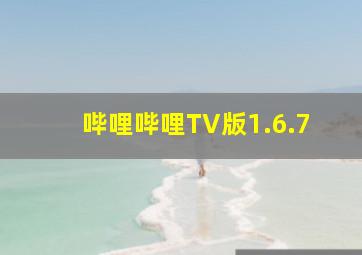 哔哩哔哩TV版1.6.7