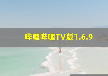 哔哩哔哩TV版1.6.9