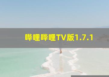 哔哩哔哩TV版1.7.1