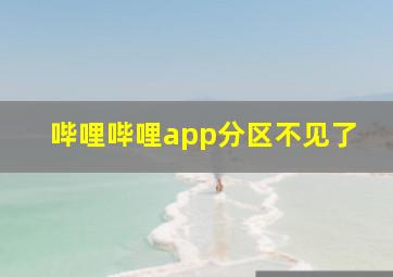 哔哩哔哩app分区不见了