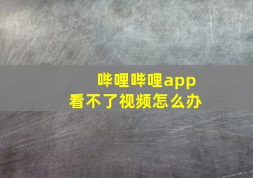 哔哩哔哩app看不了视频怎么办