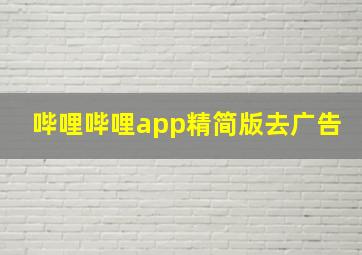 哔哩哔哩app精简版去广告