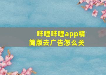 哔哩哔哩app精简版去广告怎么关