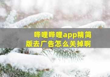 哔哩哔哩app精简版去广告怎么关掉啊