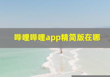 哔哩哔哩app精简版在哪