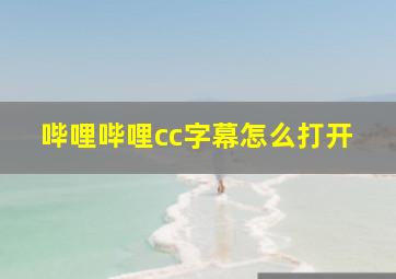 哔哩哔哩cc字幕怎么打开