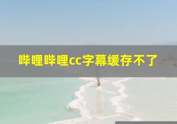 哔哩哔哩cc字幕缓存不了