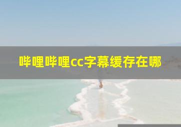 哔哩哔哩cc字幕缓存在哪