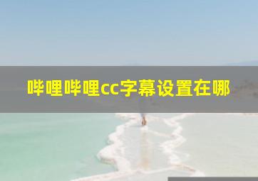 哔哩哔哩cc字幕设置在哪