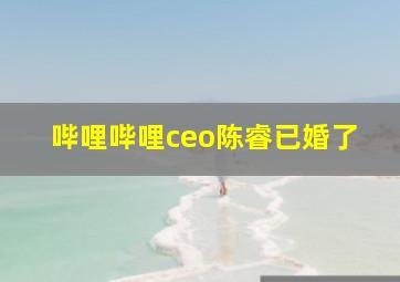 哔哩哔哩ceo陈睿已婚了