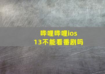 哔哩哔哩ios13不能看番剧吗