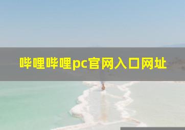 哔哩哔哩pc官网入口网址