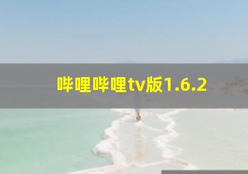 哔哩哔哩tv版1.6.2