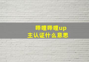 哔哩哔哩up主认证什么意思