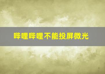 哔哩哔哩不能投屏微光