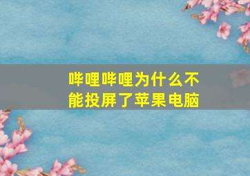 哔哩哔哩为什么不能投屏了苹果电脑