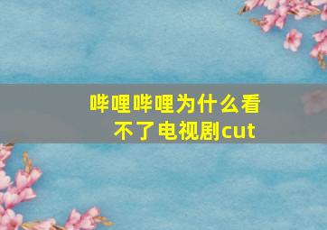 哔哩哔哩为什么看不了电视剧cut