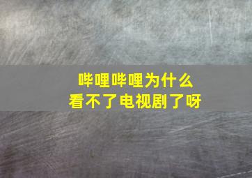 哔哩哔哩为什么看不了电视剧了呀