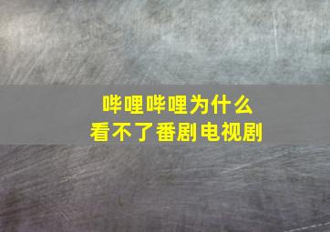 哔哩哔哩为什么看不了番剧电视剧