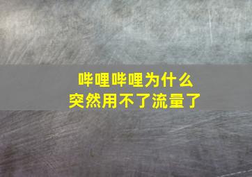 哔哩哔哩为什么突然用不了流量了