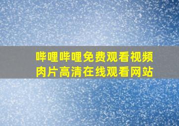 哔哩哔哩免费观看视频肉片高清在线观看网站