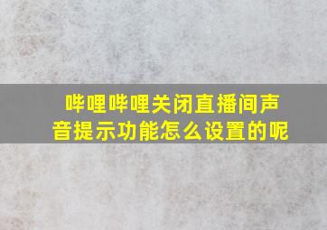 哔哩哔哩关闭直播间声音提示功能怎么设置的呢