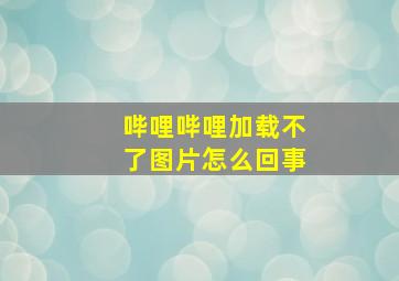 哔哩哔哩加载不了图片怎么回事