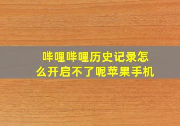 哔哩哔哩历史记录怎么开启不了呢苹果手机