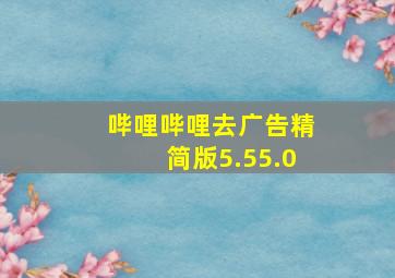 哔哩哔哩去广告精简版5.55.0