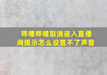 哔哩哔哩取消进入直播间提示怎么设置不了声音