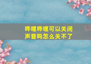 哔哩哔哩可以关闭声音吗怎么关不了