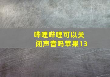 哔哩哔哩可以关闭声音吗苹果13