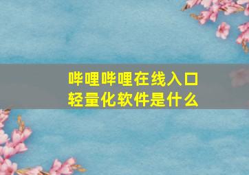 哔哩哔哩在线入口轻量化软件是什么