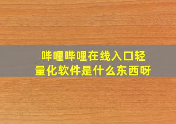 哔哩哔哩在线入口轻量化软件是什么东西呀